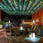 Ibis Thalassa